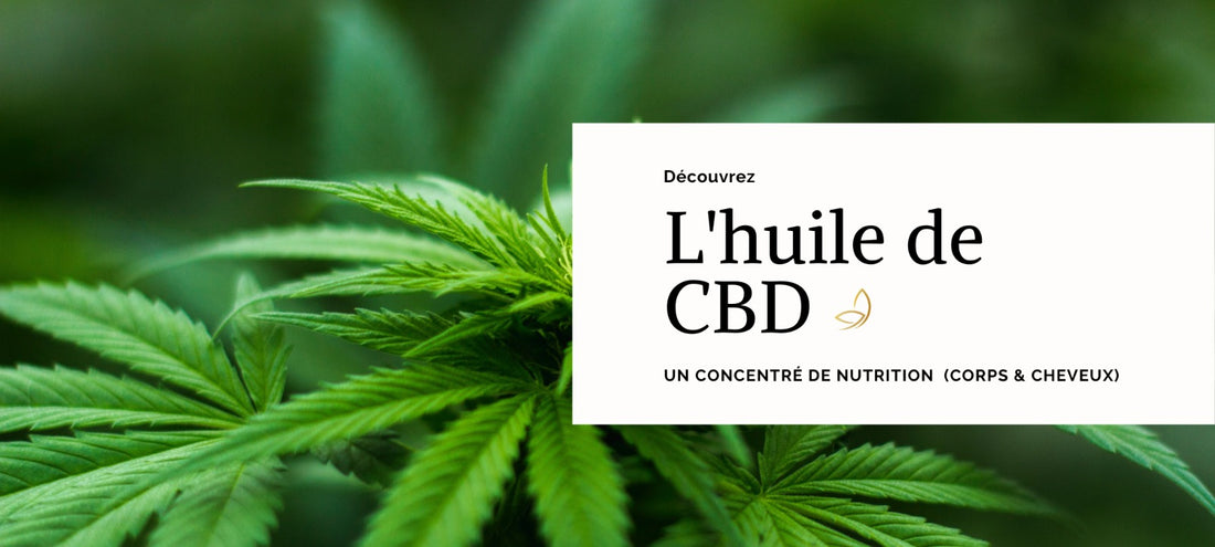 L'HUILE DE CBD