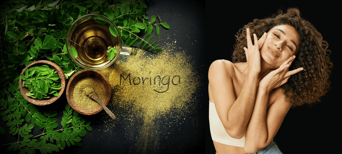 Huile de Moringa