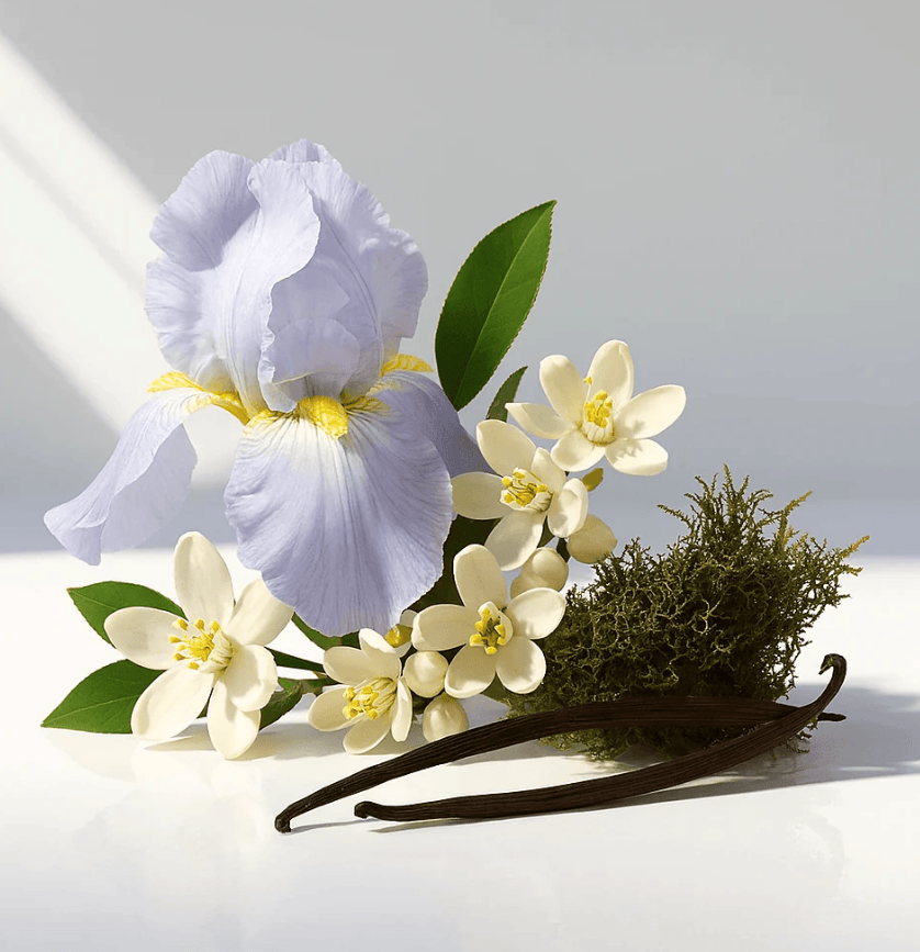 Parfum La Vie - Collection Privée 50ml - Collection privée - Ethni Beauty Market