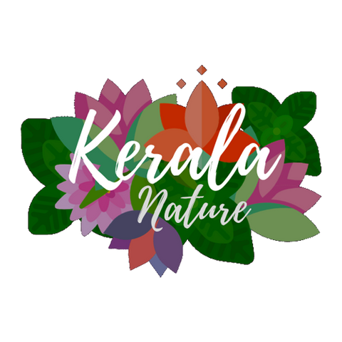 Kerala nature