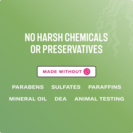 Mielle Organics - Leave-In Conditioning "rosemary mint" - 355ml - Mielle Organics - Ethni Beauty Market