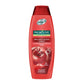 Palmolive - Shampoing Couleur Brillant - 350ml - Palmolive - Ethni Beauty Market