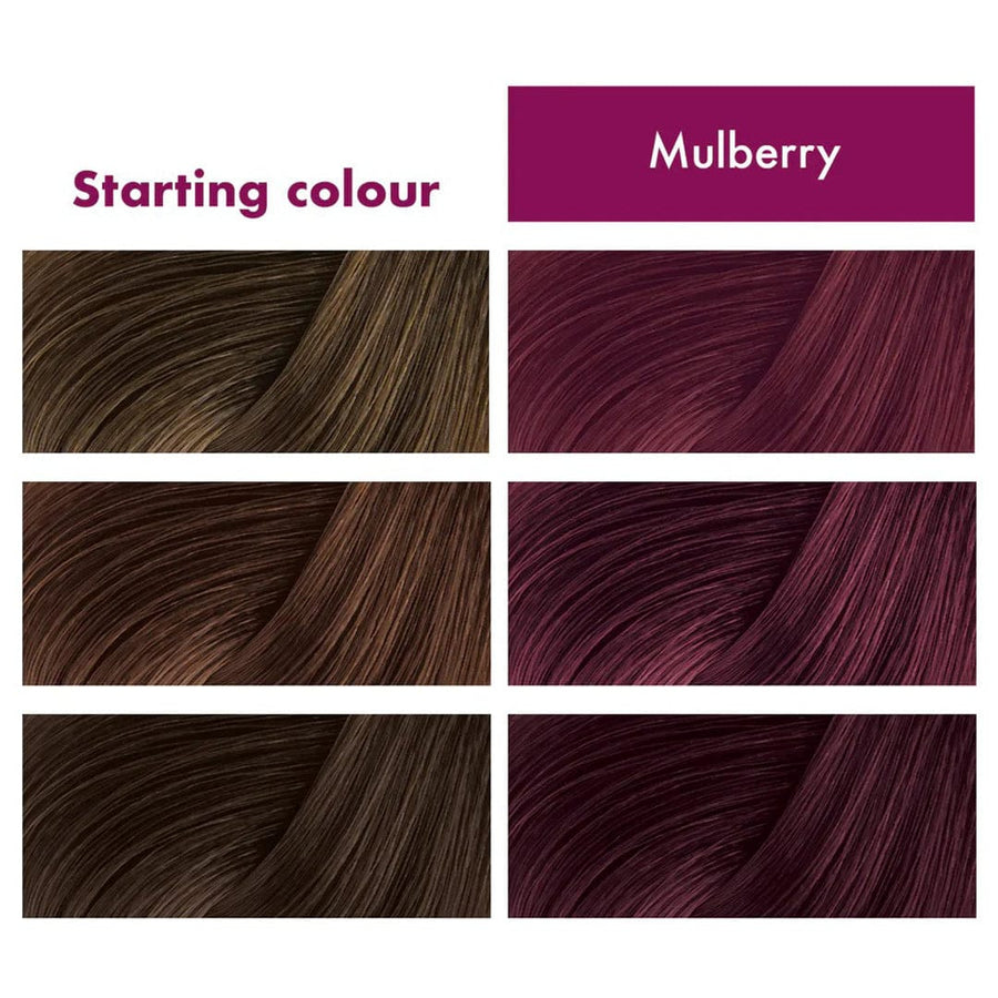 Umberto Giannini - Flowerology - Masque colorant temporaire "mulberry" - 200ml - Umberto Giannini - Ethni Beauty Market