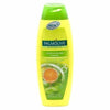 Palmolive - Citrus Silky Shine Shampoo 350ml - Palmolive - Ethni Beauty Market